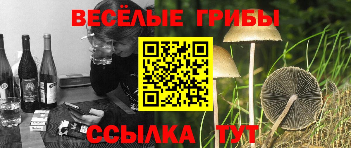 Псилоцибиновые грибы MAGIC MUSHROOMS Волгодонск