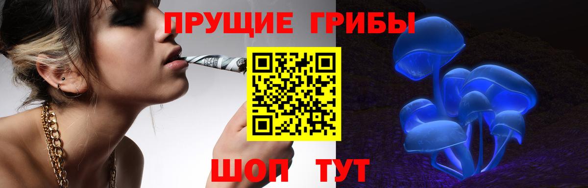 Волгодонск  Псилоцибиновые грибы мухоморы  Псилоцибиновые грибы прущие грибы  Вход с VPN 